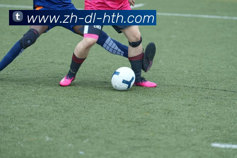 华体会登录入口APP 高清赛事图